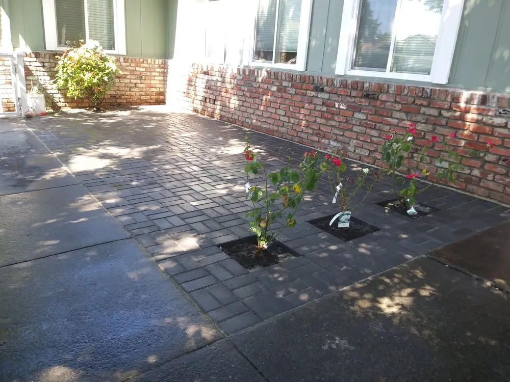 Expert lawn mowing service for residential properties in Santa Rosa, CA by C Lopez Yard Maintenance