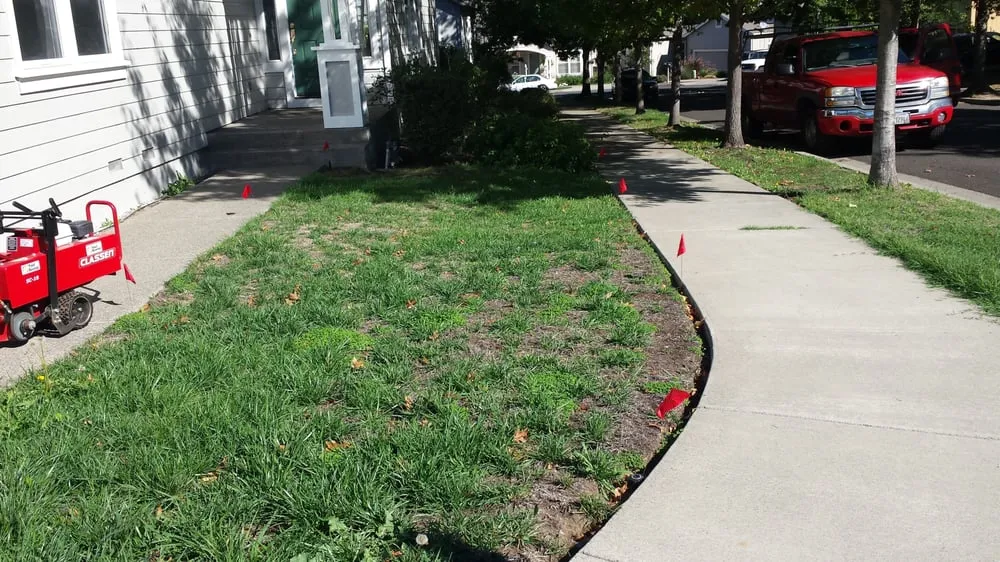 Reliable yard cleanup service in Santa Rosa, CA by C Lopez Yard Maintenance