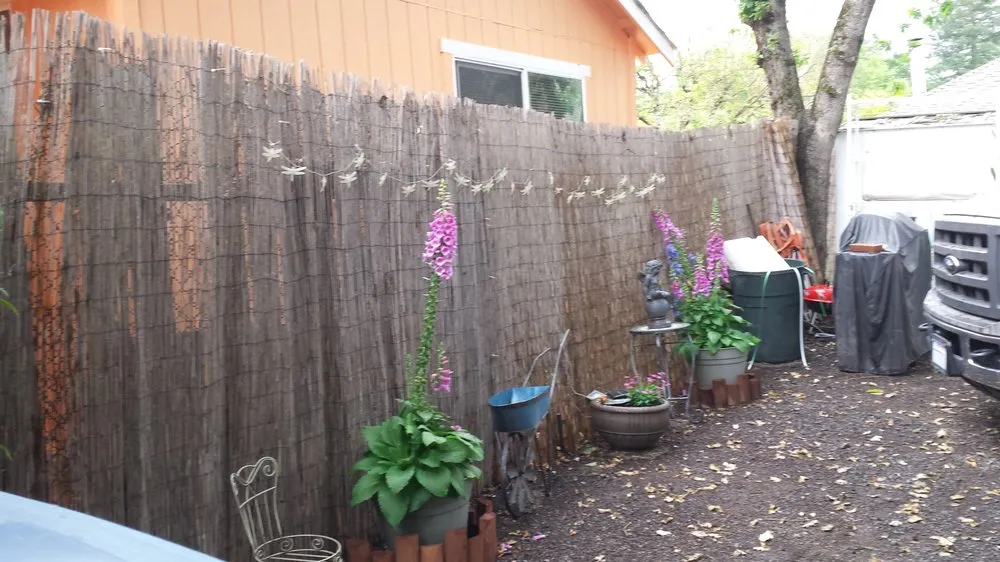 Trusted yard cleanup service experts serving Santa Rosa, CA - C Lopez Yard Maintenance