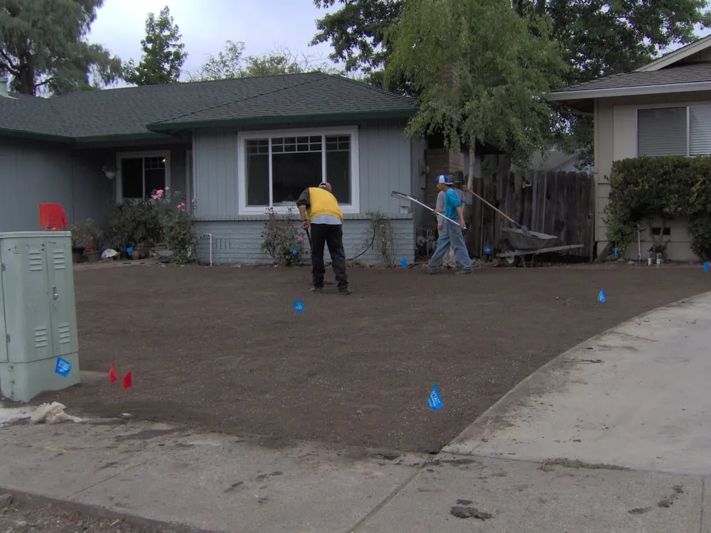 Expert landscaping services near you in Santa Rosa, CA by C Lopez Yard Maintenance