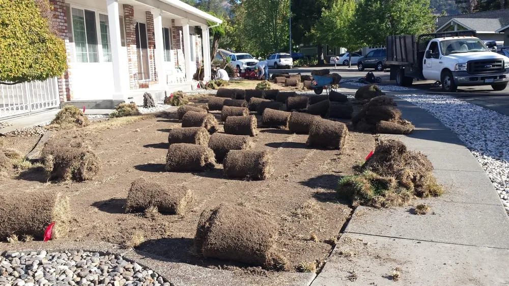 Expert outdoor landscaping for outdoor upgrades in Santa Rosa, CA by C Lopez Yard Maintenance