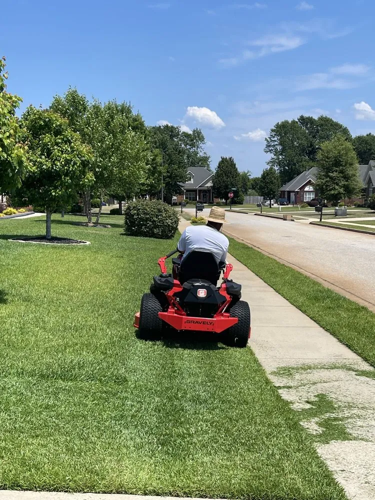 Custom yard cleanup service in Warner Robins, GA by C-Los Lawn Care Services