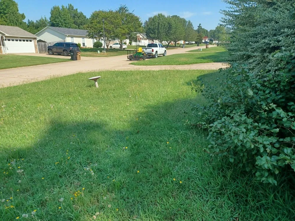 Expert outdoor landscaping for residential properties across Alexander, AR - C low's Pressure washer and lawn