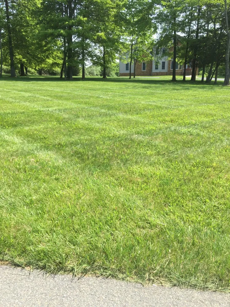 Affordable outdoor landscaping in Flemington, NJ - C Luster Landscaping