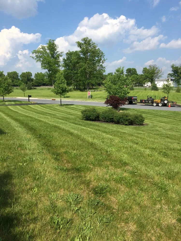 Reliable garden landscaping experts serving Flemington, NJ - C Luster Landscaping