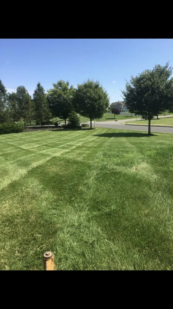 Trusted landscape installation experts serving Flemington, NJ - C Luster Landscaping