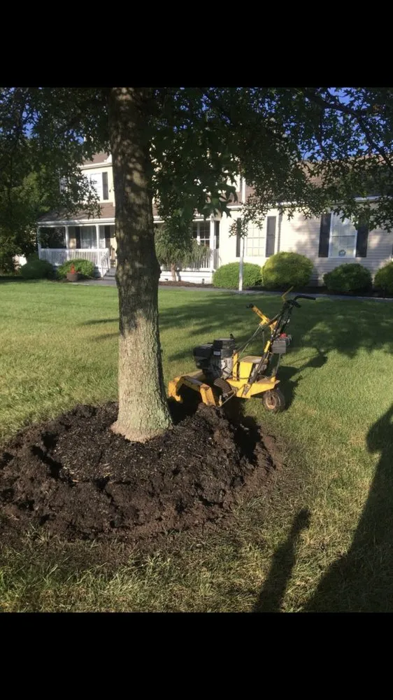 Reliable lawn care service in Flemington, NJ - C Luster Landscaping