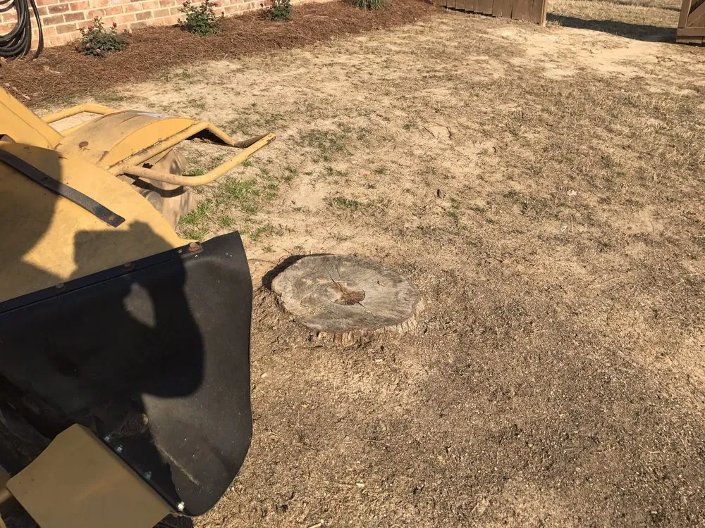 Custom residential landscaping in Oxford, MS - C &M BUSH-HOGGING