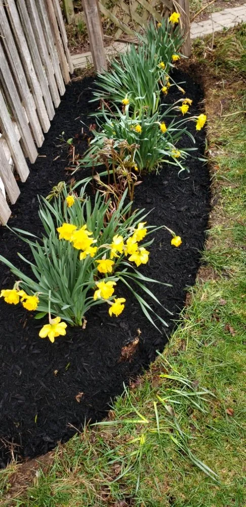 Reliable landscape installation for residential properties in Rockford, IL by C M Debonair Garden