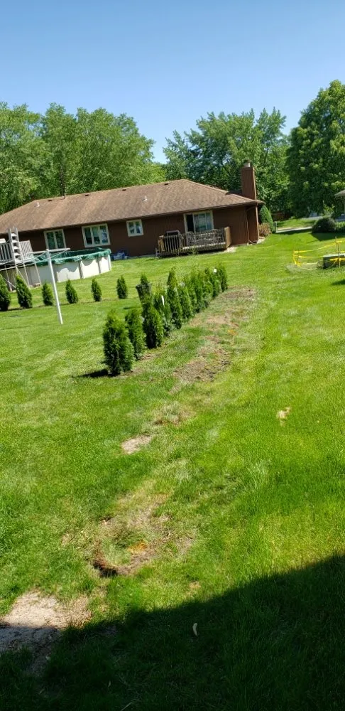 Local yard cleanup service in Rockford, IL - C M Debonair Garden