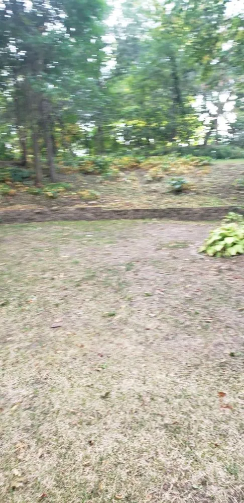 Professional yard maintenance in Rockford, IL - C M Debonair Garden