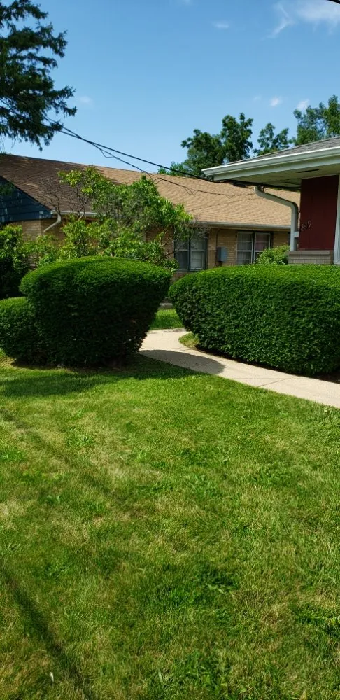 Expert residential landscaping for beautiful yards across Rockford, IL - C M Debonair Garden