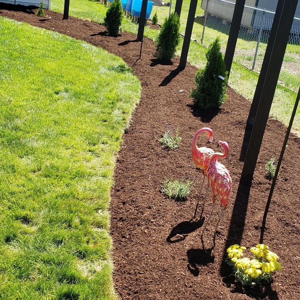 Local garden landscaping in Rockford, IL by C M Debonair Garden