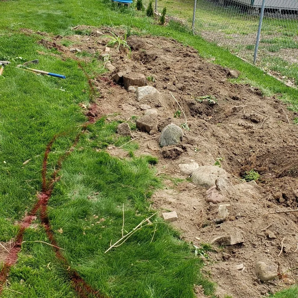 Affordable residential landscaping in Rockford, IL - C M Debonair Garden