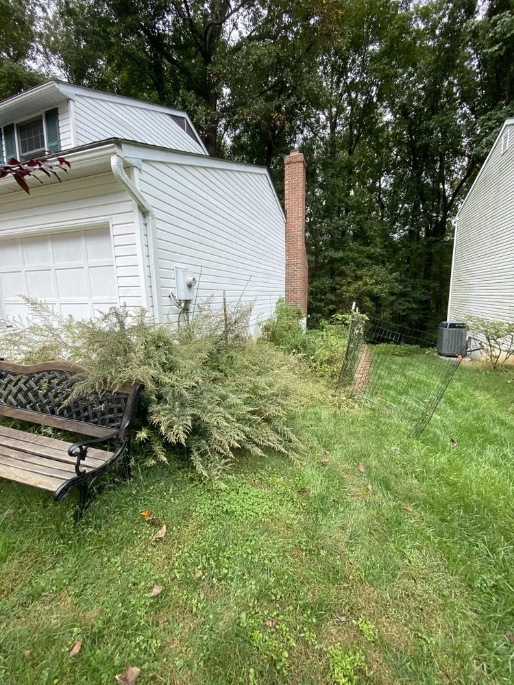 Professional lawn mowing service in Savage, MD - C M landscaping