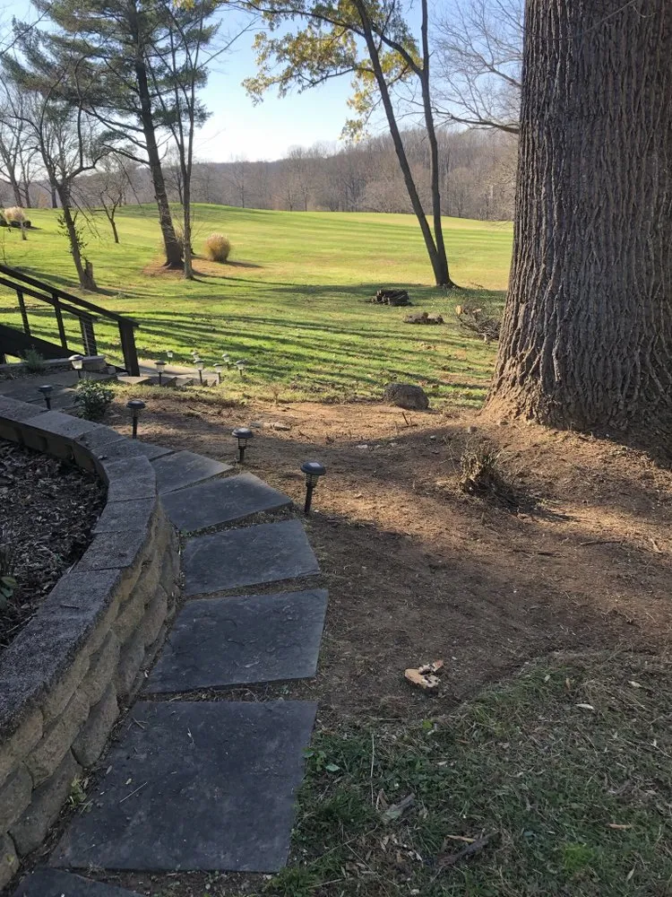 Top-rated yard maintenance in Savage, MD by C M landscaping