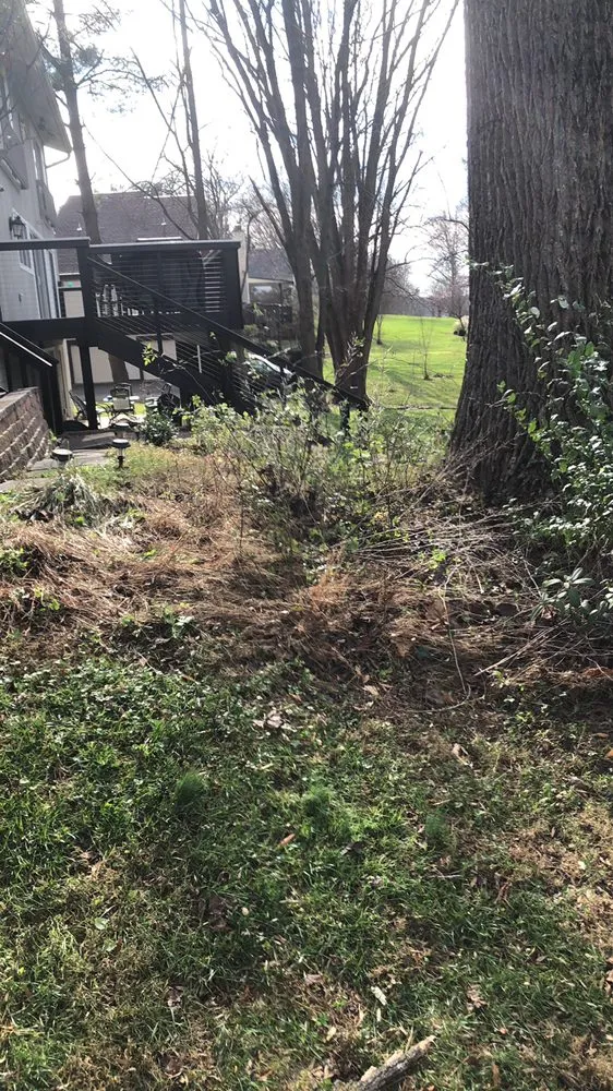 Expert residential landscaping for year-round maintenance in Savage, MD by C M landscaping