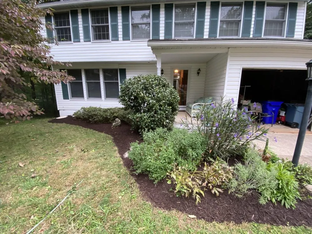 Professional yard cleanup service in Savage, MD - C M landscaping