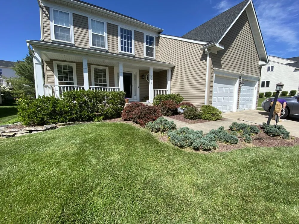 Professional yard cleanup service experts serving Savage, MD - C M landscaping