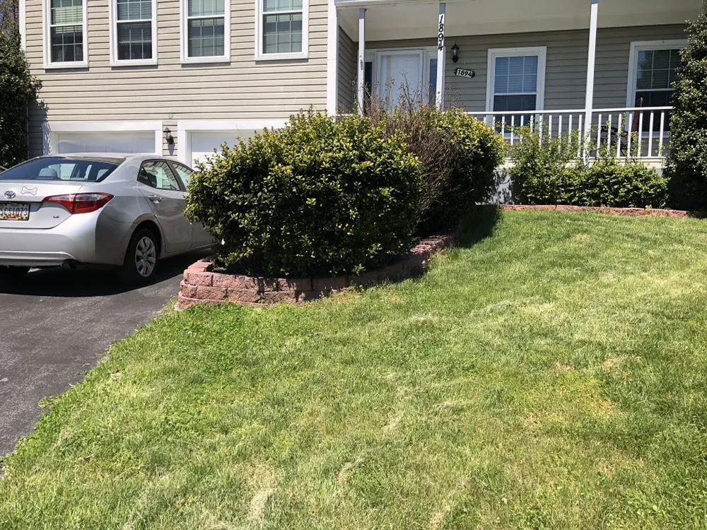 Expert yard cleanup service experts serving Savage, MD - C M landscaping