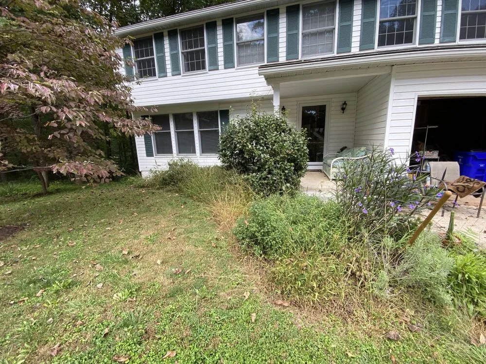 Professional yard maintenance experts serving Savage, MD - C M landscaping