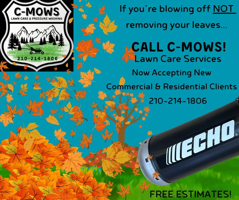 Reliable garden landscaping in Newport, TN by C-Mows Lawn Care & Pressure Washing