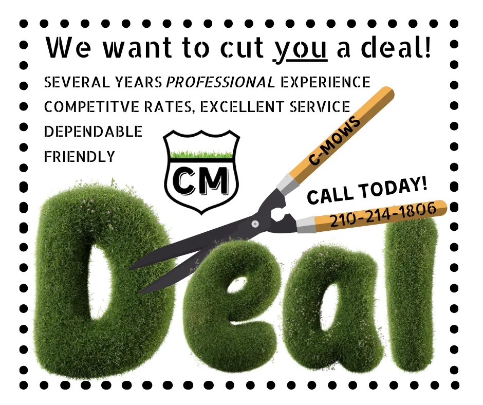 Expert lawn care service in Newport, TN by C-Mows Lawn Care & Pressure Washing