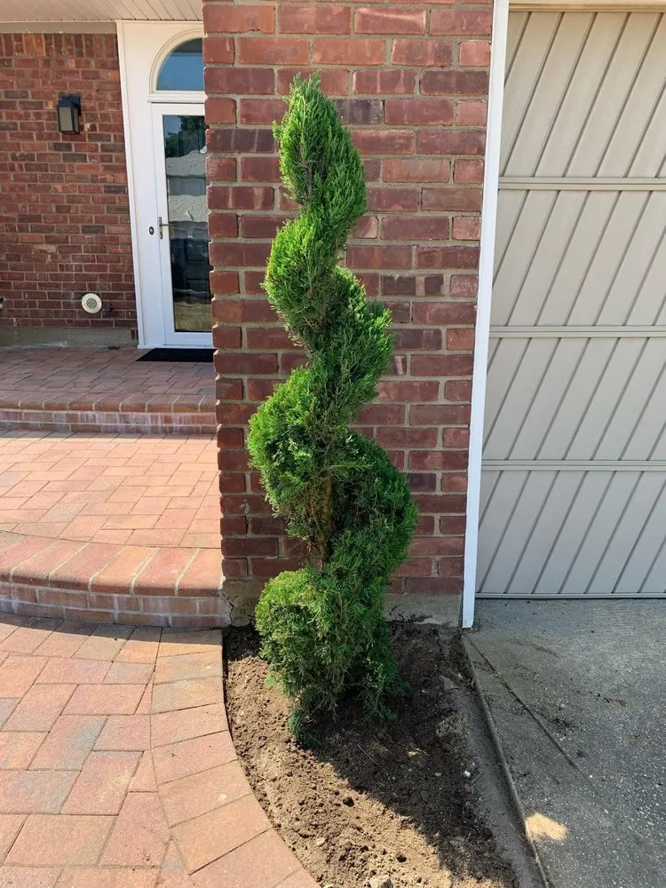 Reliable landscaping services in Lawrence, NY - C Munoz Landscaping