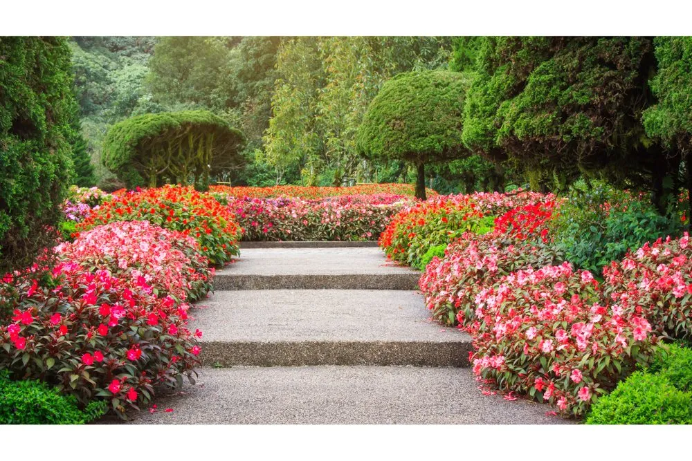 Affordable yard cleanup service in Lawrence, NY - C Munoz Landscaping