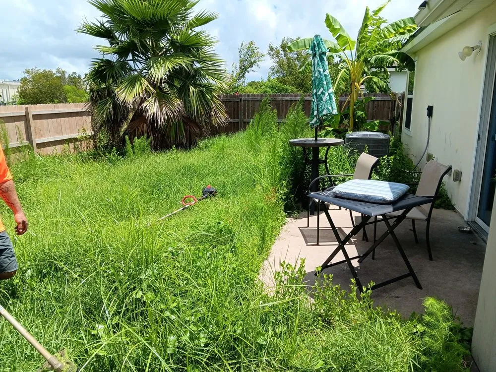 Affordable yard maintenance experts serving Kingsland, GA - C N J Lawn Care