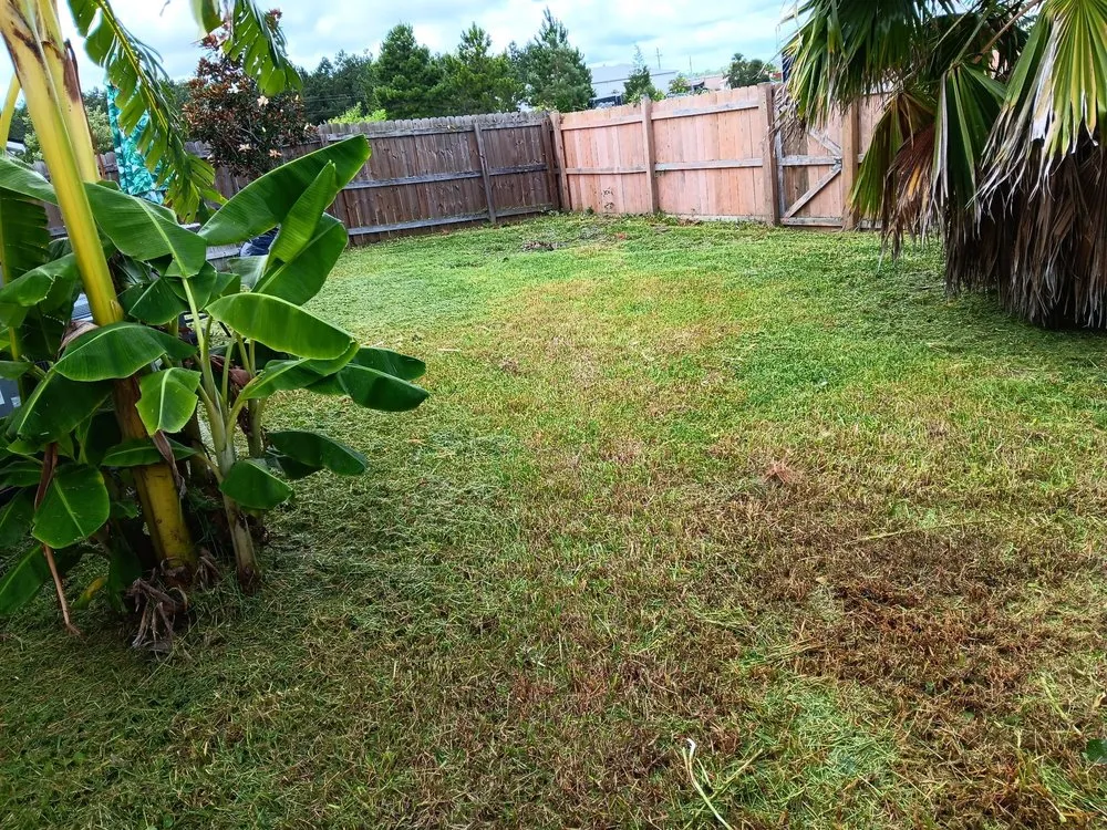 Affordable residential landscaping in Kingsland, GA - C N J Lawn Care