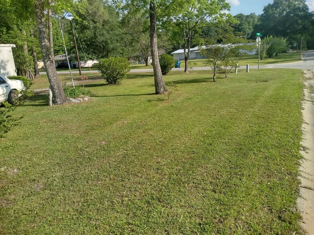 Local landscaping services experts serving Kingsland, GA - C N J Lawn Care