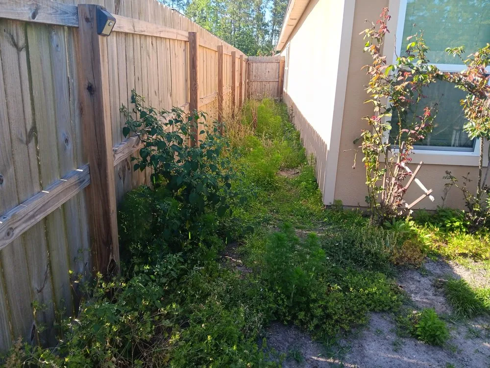 Affordable lawn mowing service experts serving Kingsland, GA - C N J Lawn Care