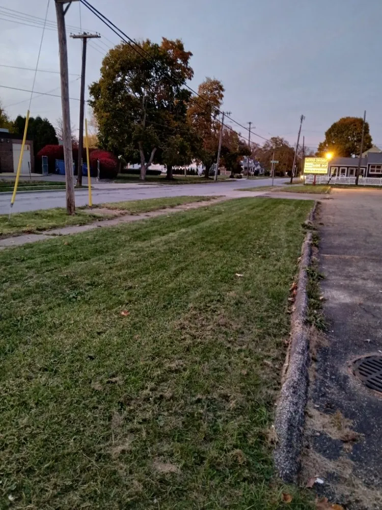 Top-rated landscaping services for year-round maintenance across Akron, OH - C N M True Colors