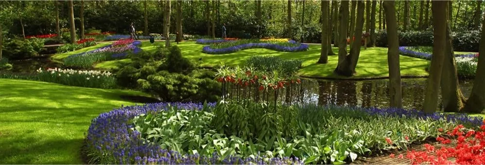 Affordable landscape design in Mount Airy, MD by C Nichols Landscaping