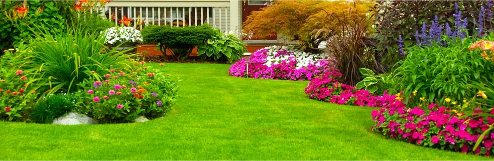 Trusted yard maintenance in Mount Airy, MD - C Nichols Landscaping