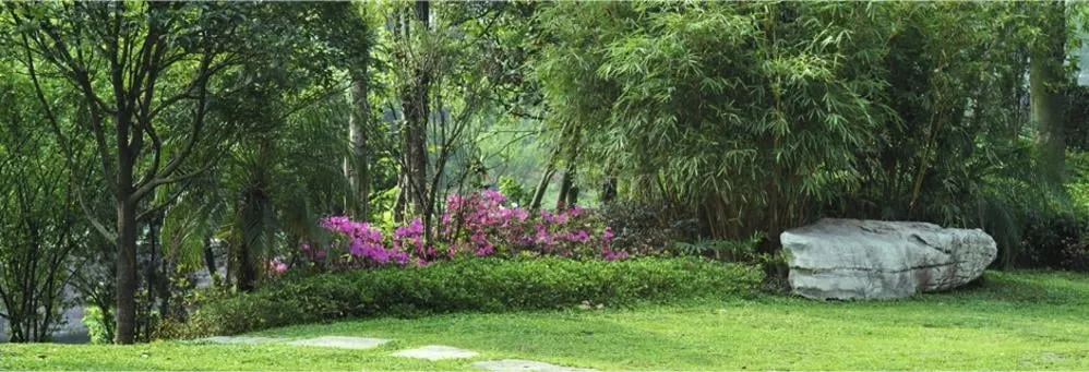 Local lawn care service in Mount Airy, MD by C Nichols Landscaping