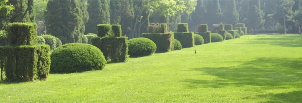 Professional landscape design in Mount Airy, MD by C Nichols Landscaping