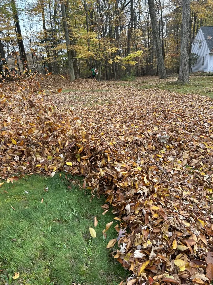 Reliable landscape design for outdoor upgrades across Chagrin Falls, OH - C O Landscaping