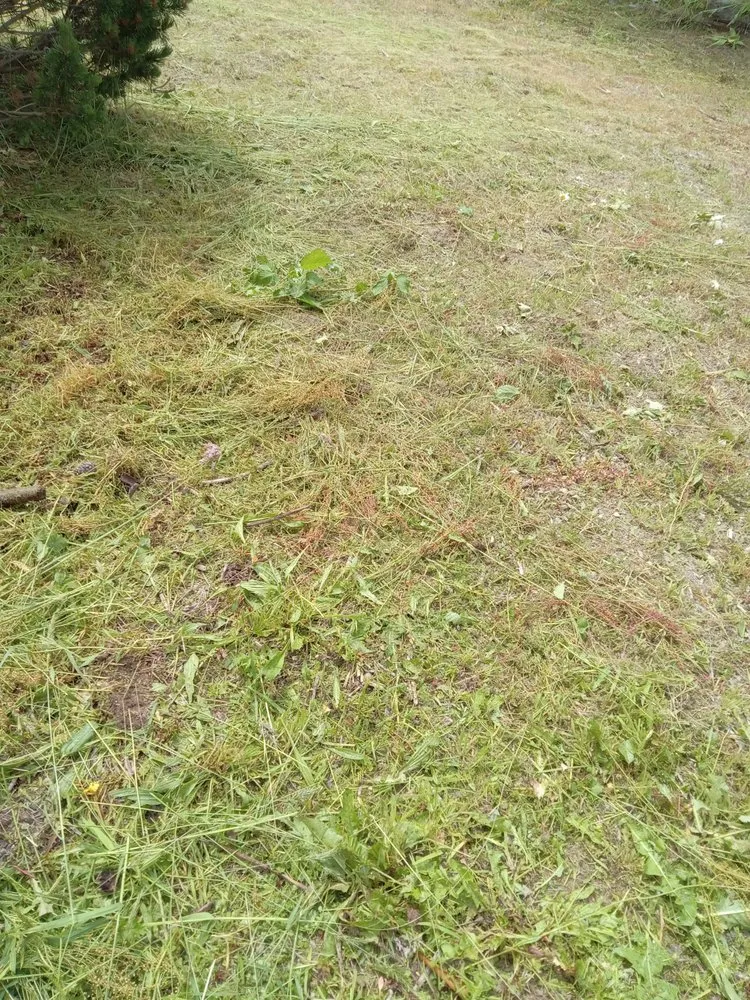 Expert landscape installation experts serving Bremerton, WA - C Pablo Landscaping