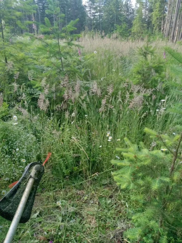 Top-rated landscape installation for year-round maintenance across Bremerton, WA - C Pablo Landscaping