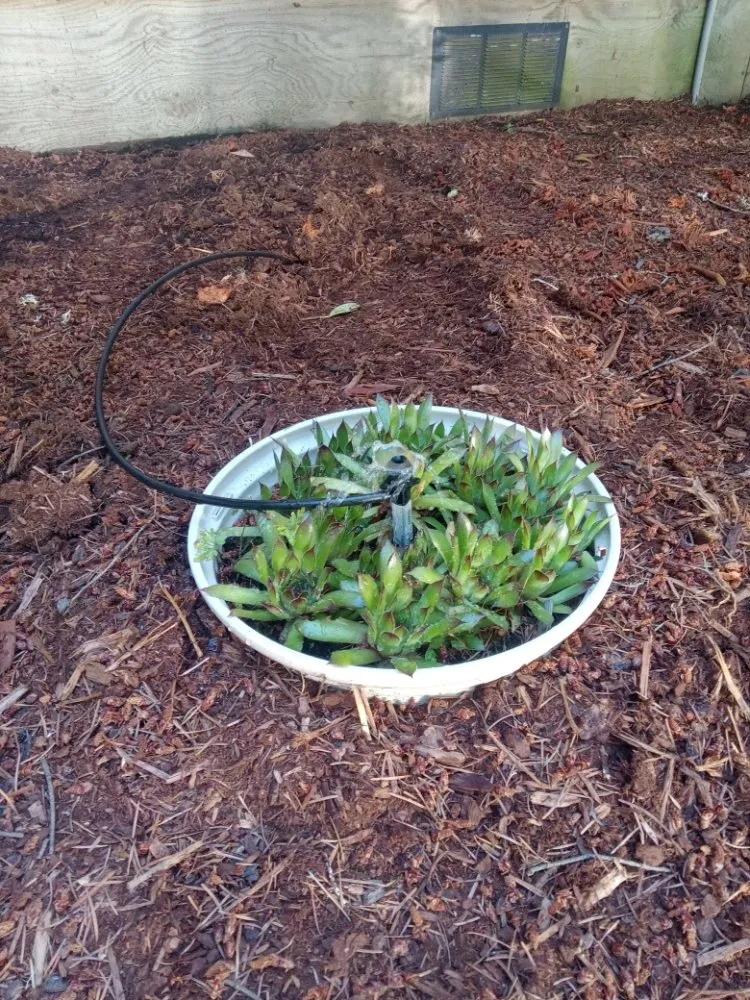 Expert residential landscaping in Bremerton, WA - C Pablo Landscaping