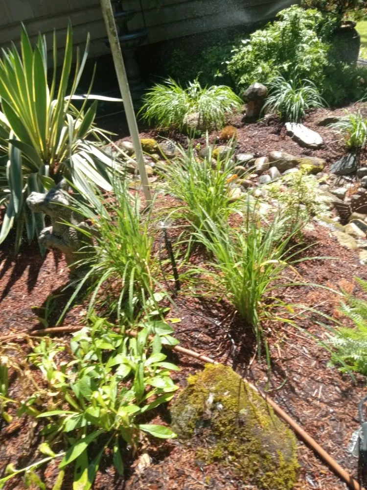 Expert garden landscaping in Bremerton, WA - C Pablo Landscaping