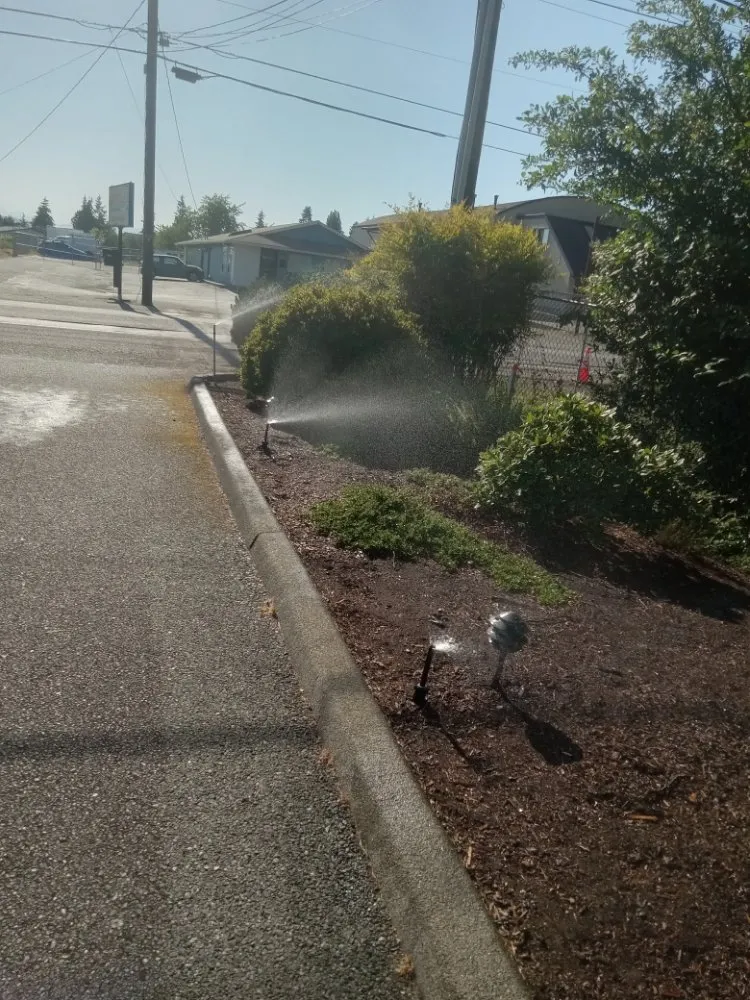 Custom lawn mowing service for year-round maintenance in Bremerton, WA by C Pablo Landscaping