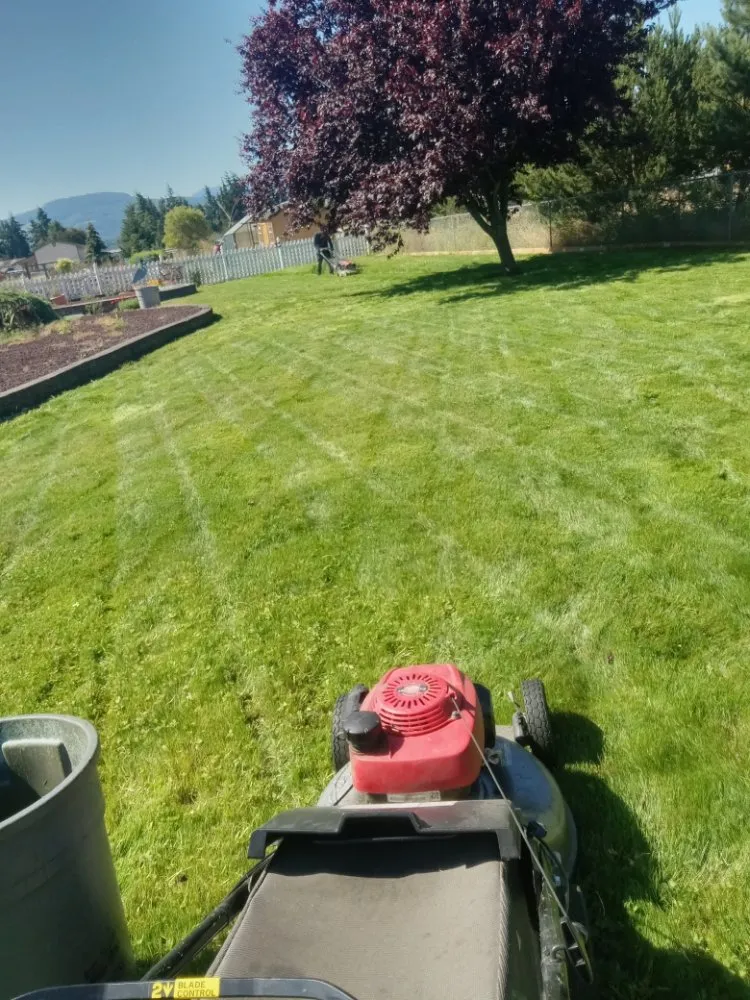 Reliable landscaping services experts serving Bremerton, WA - C Pablo Landscaping