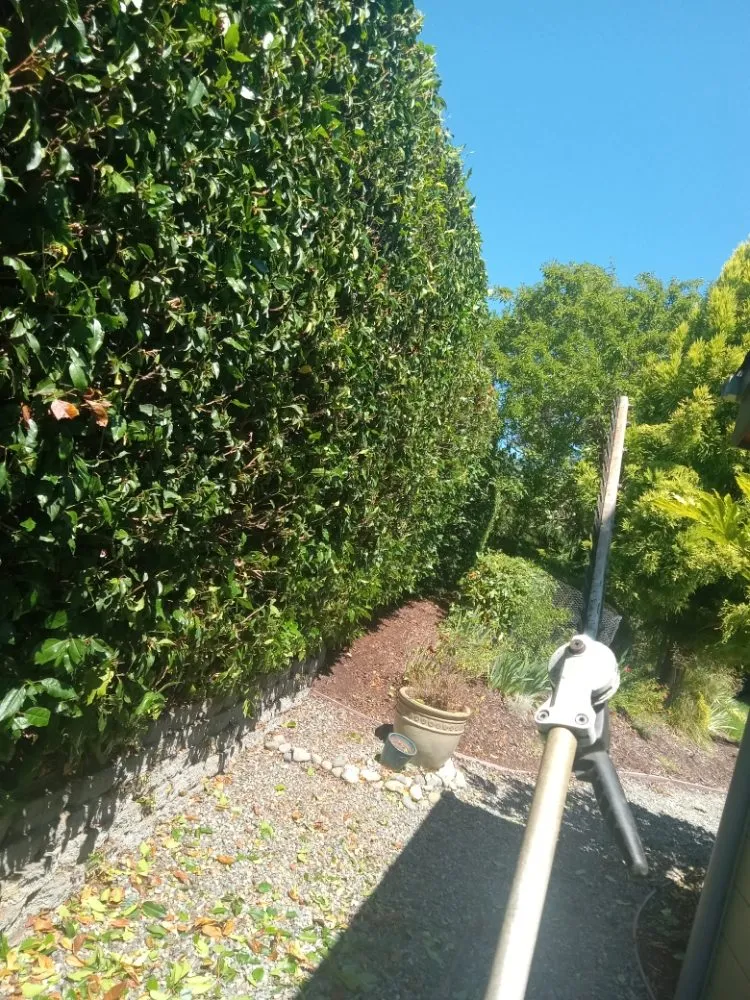 Affordable landscape design experts serving Bremerton, WA - C Pablo Landscaping