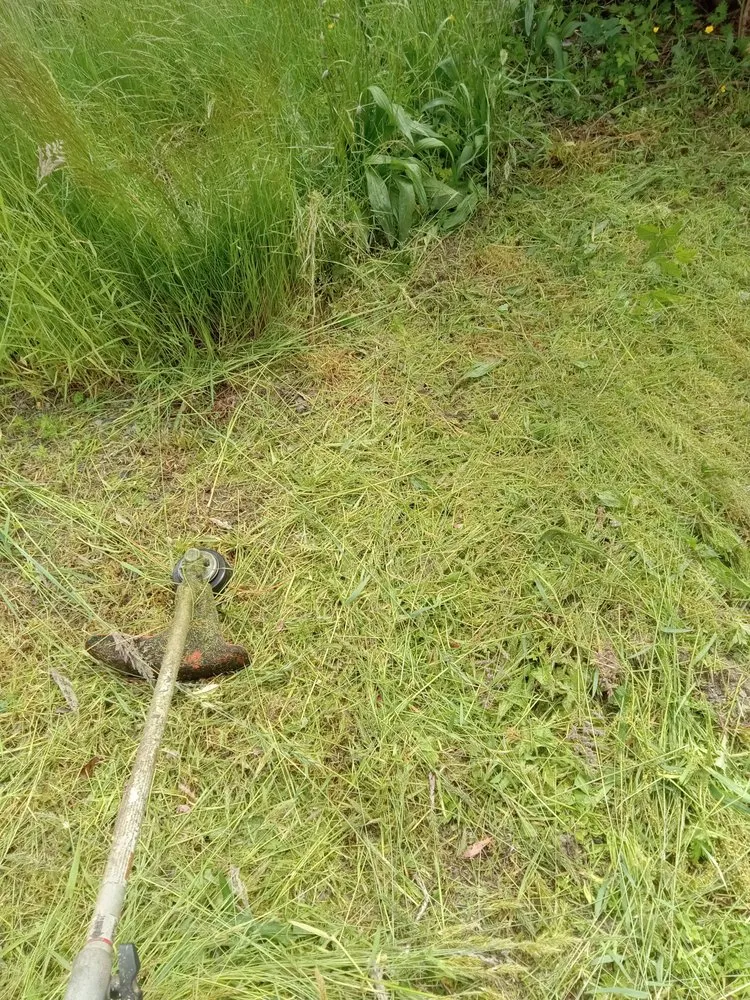 Professional garden landscaping in Bremerton, WA by C Pablo Landscaping