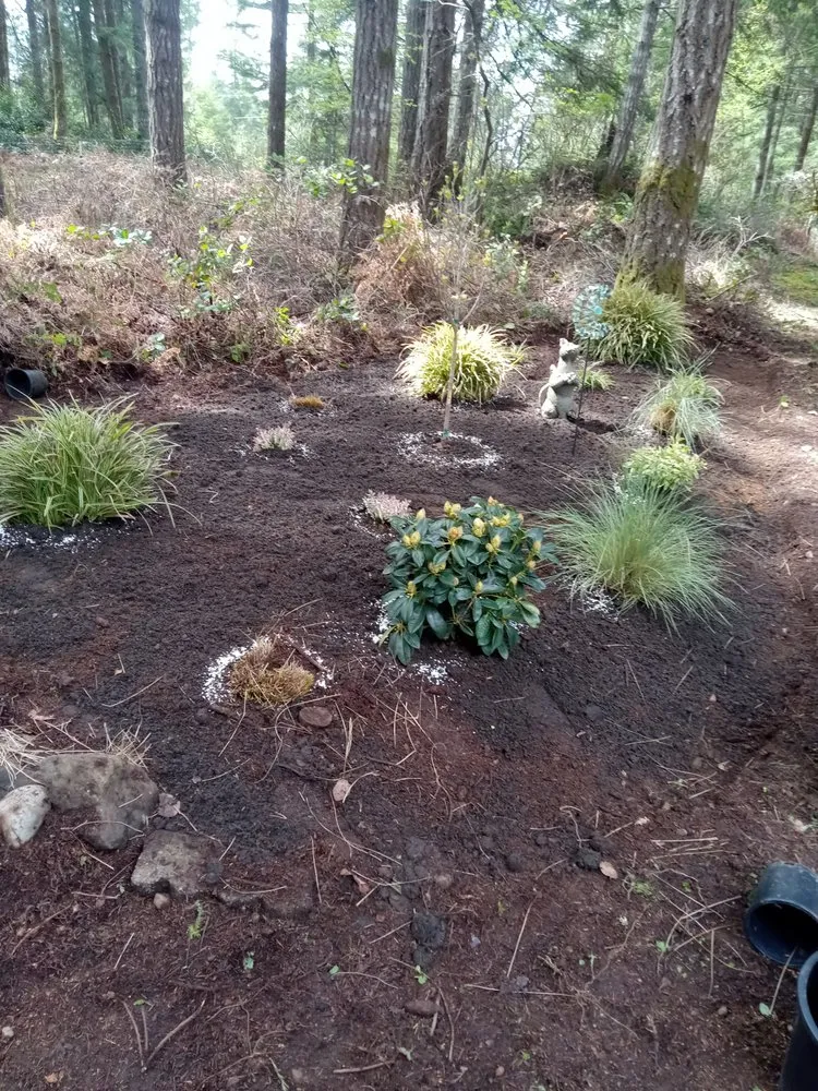 Affordable yard cleanup service in Bremerton, WA - C Pablo Landscaping