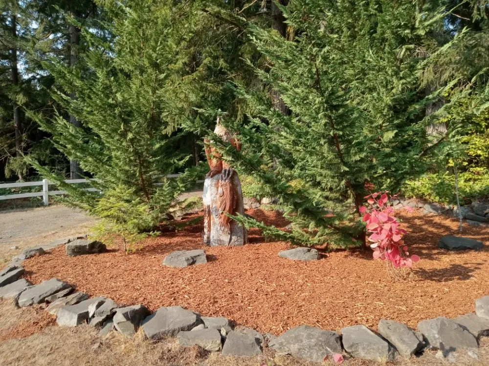 Trusted yard cleanup service in Bremerton, WA - C Pablo Landscaping