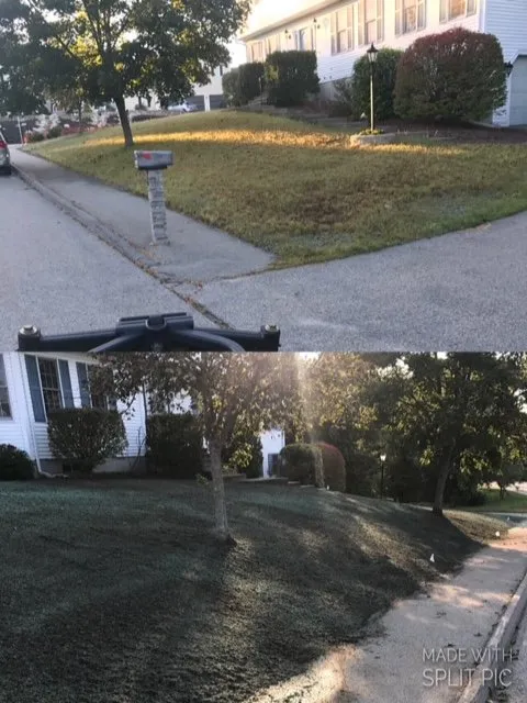 Top-rated yard maintenance for year-round maintenance across Marlborough, MA - C R Hansen Construction